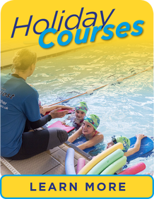 Holiday Courses learn more link