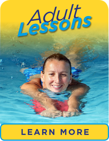 Adult lessons learn more link