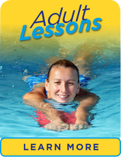 Adult Lessons learn more link